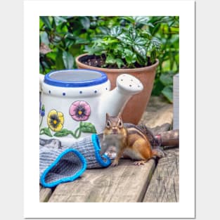 Chipmunk helps with the gardening Posters and Art